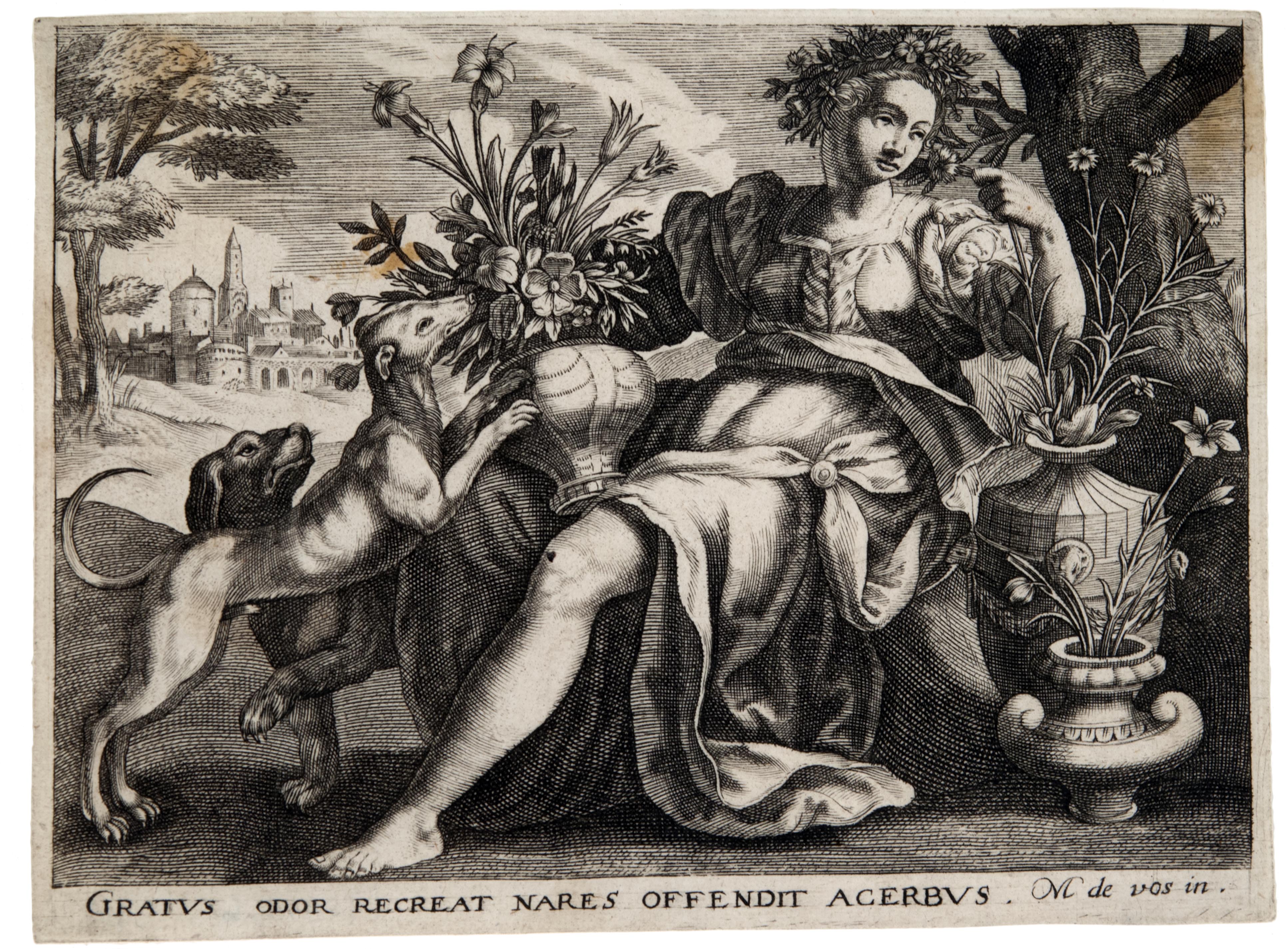 Martin de Vos, Smell, ca. 1600