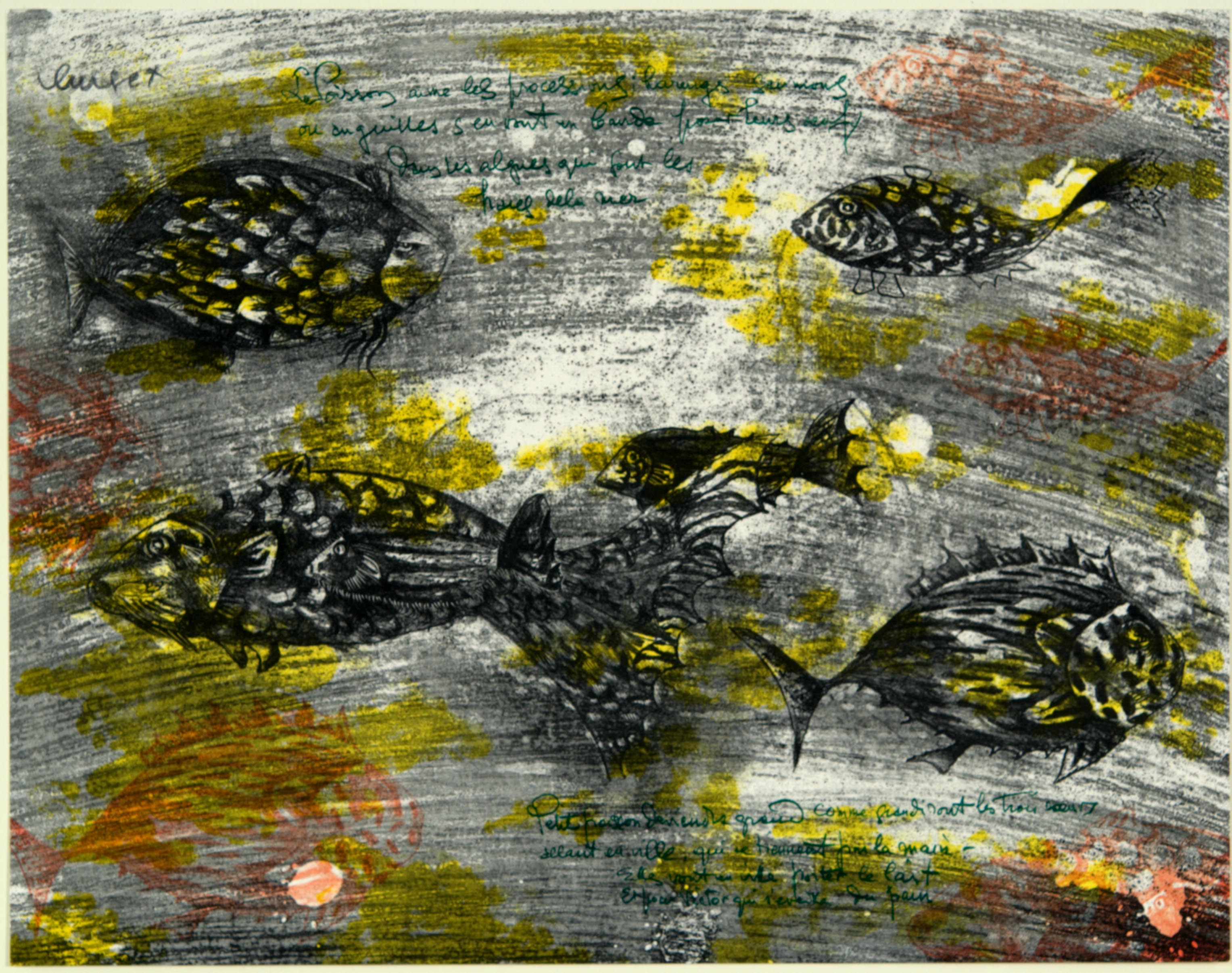 Jean Lurçat, The Fish, n.d.