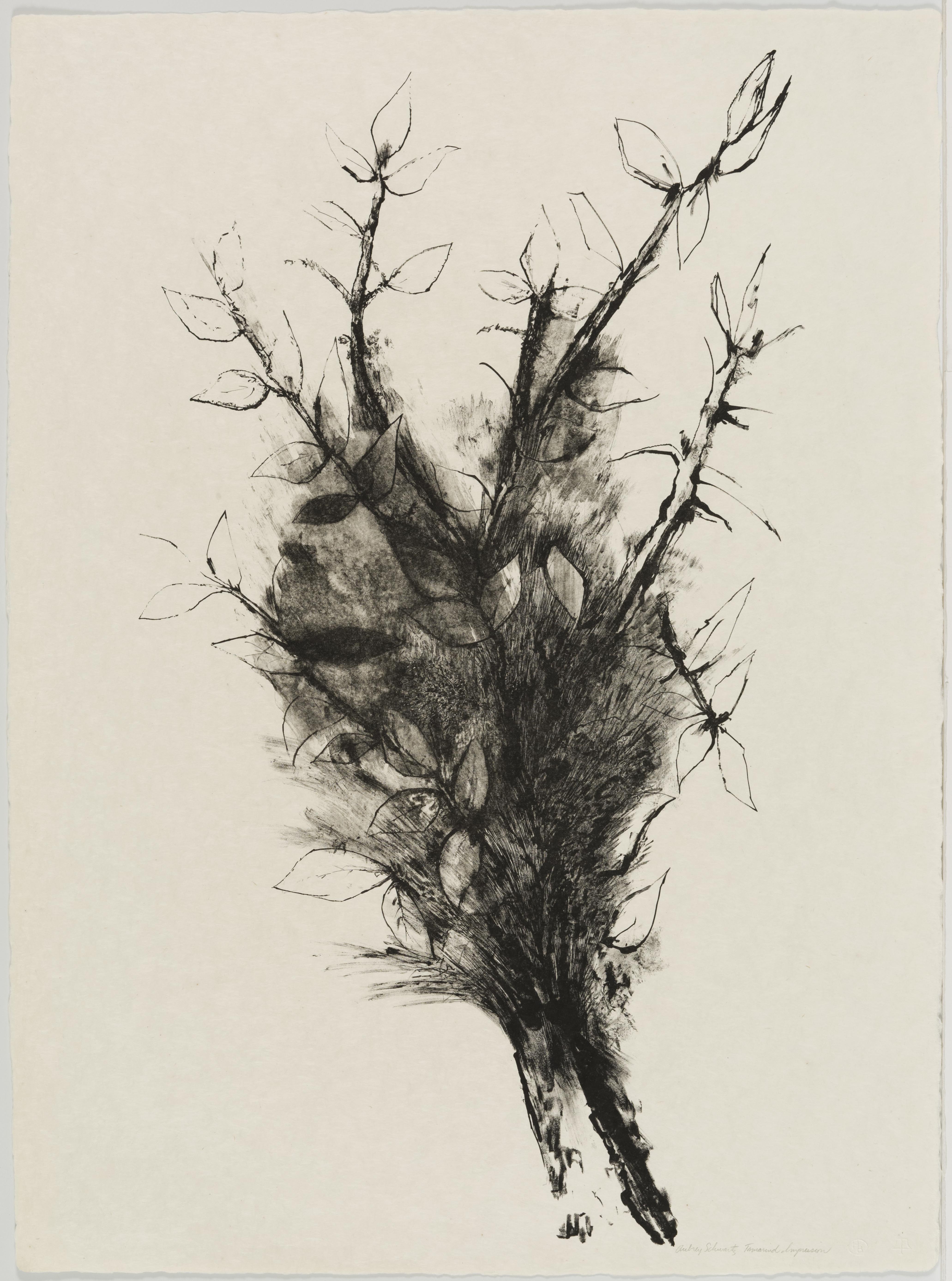 Aubrey Schwartz, Flowers, November 10, 1960