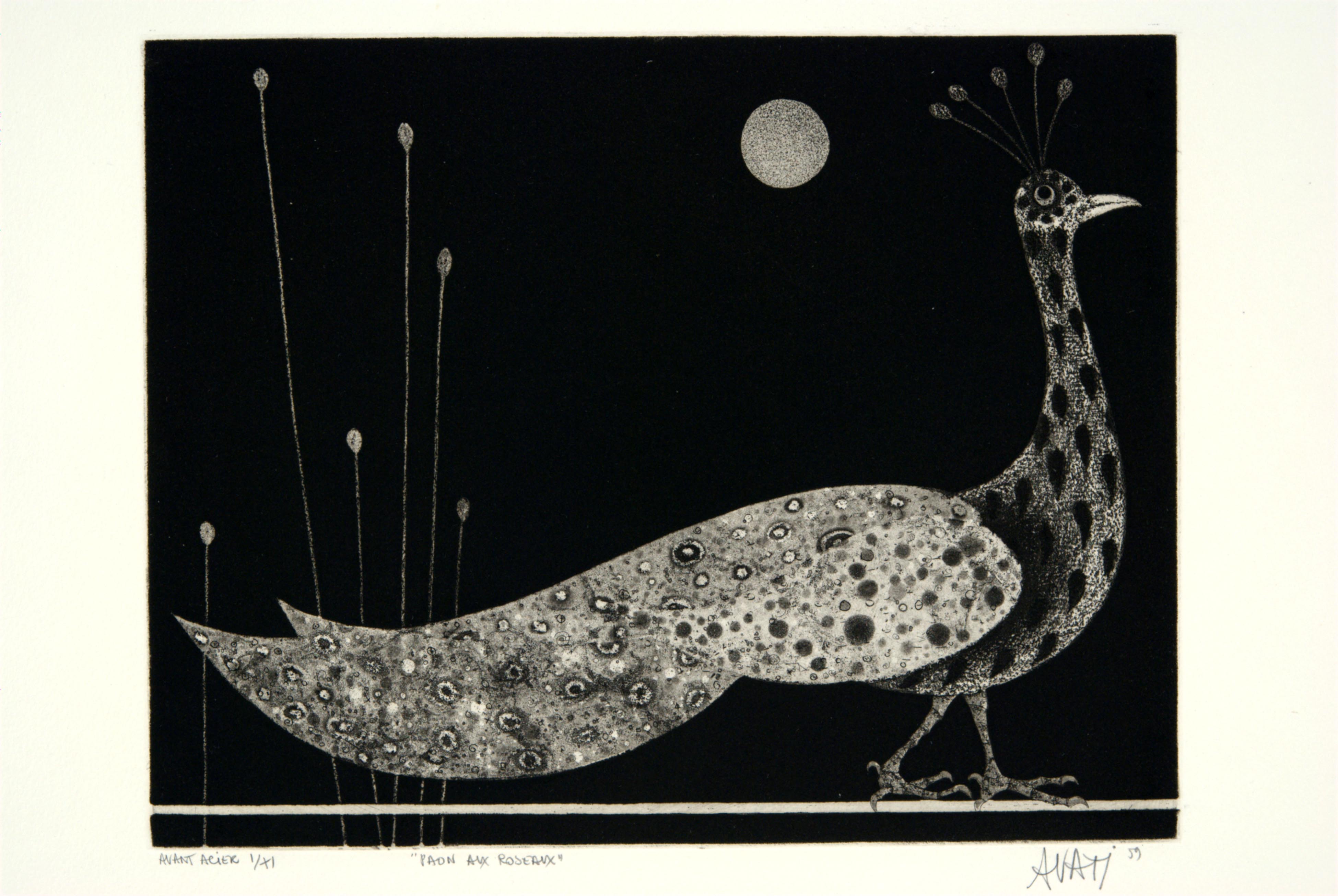 Mario Avati, Peacock with Reeds, June 1959