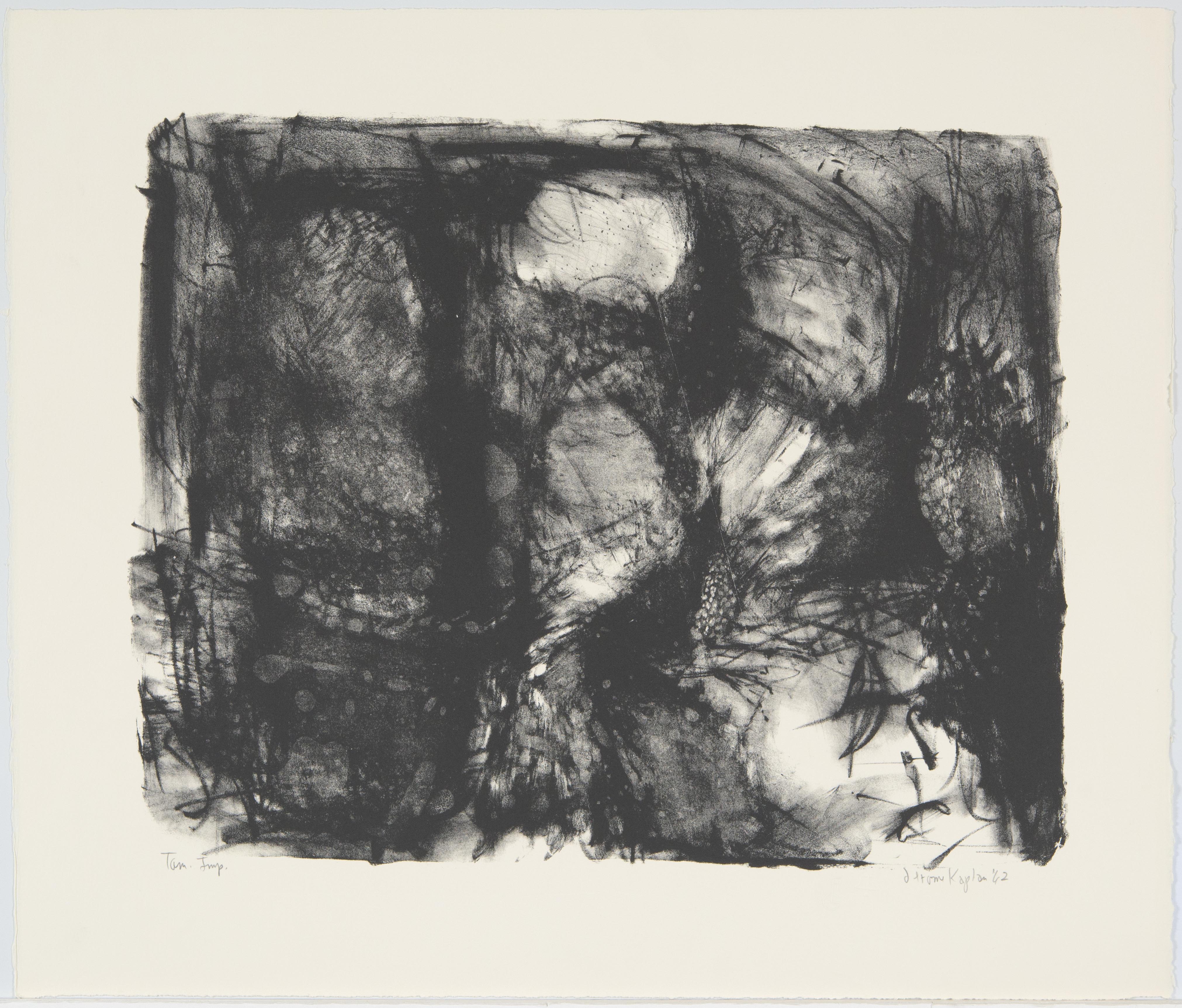 Jerome Kaplan, Birds, April 16-23, 1962