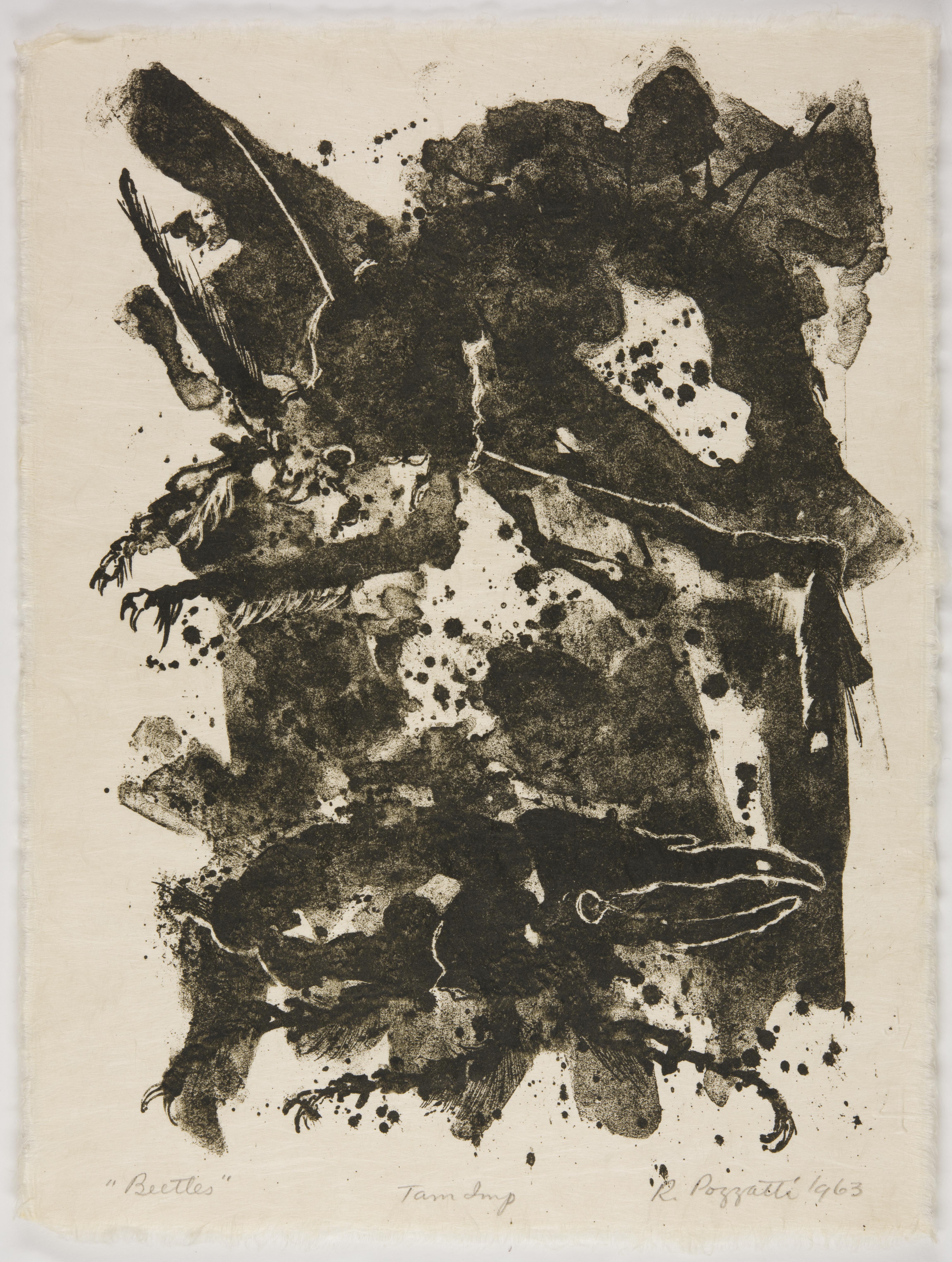 Rudy Pozzatti, Beetles (VII), March 21-25, 1963
