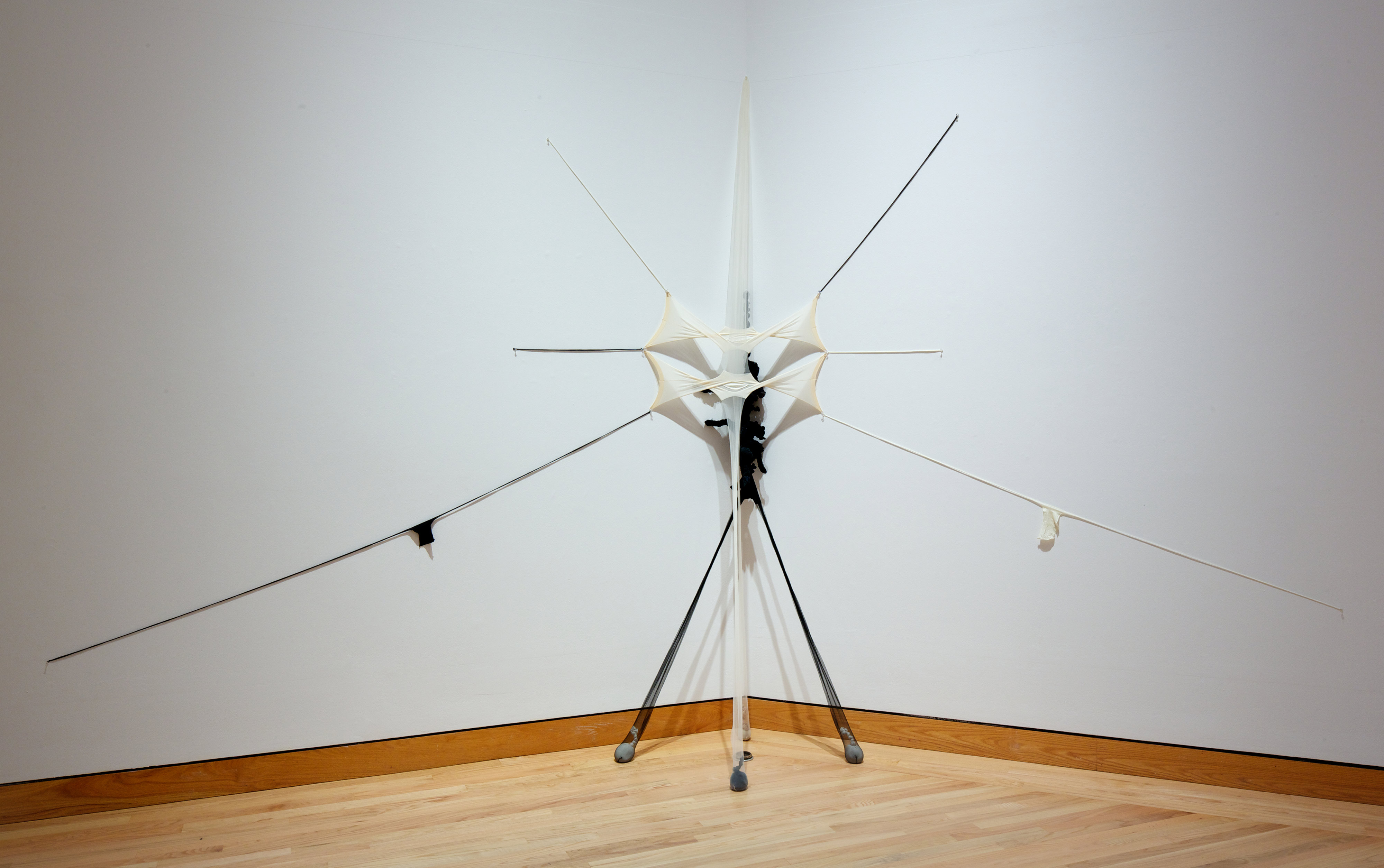 Only Love Saves the Day, by Senga Nengudi, 2011