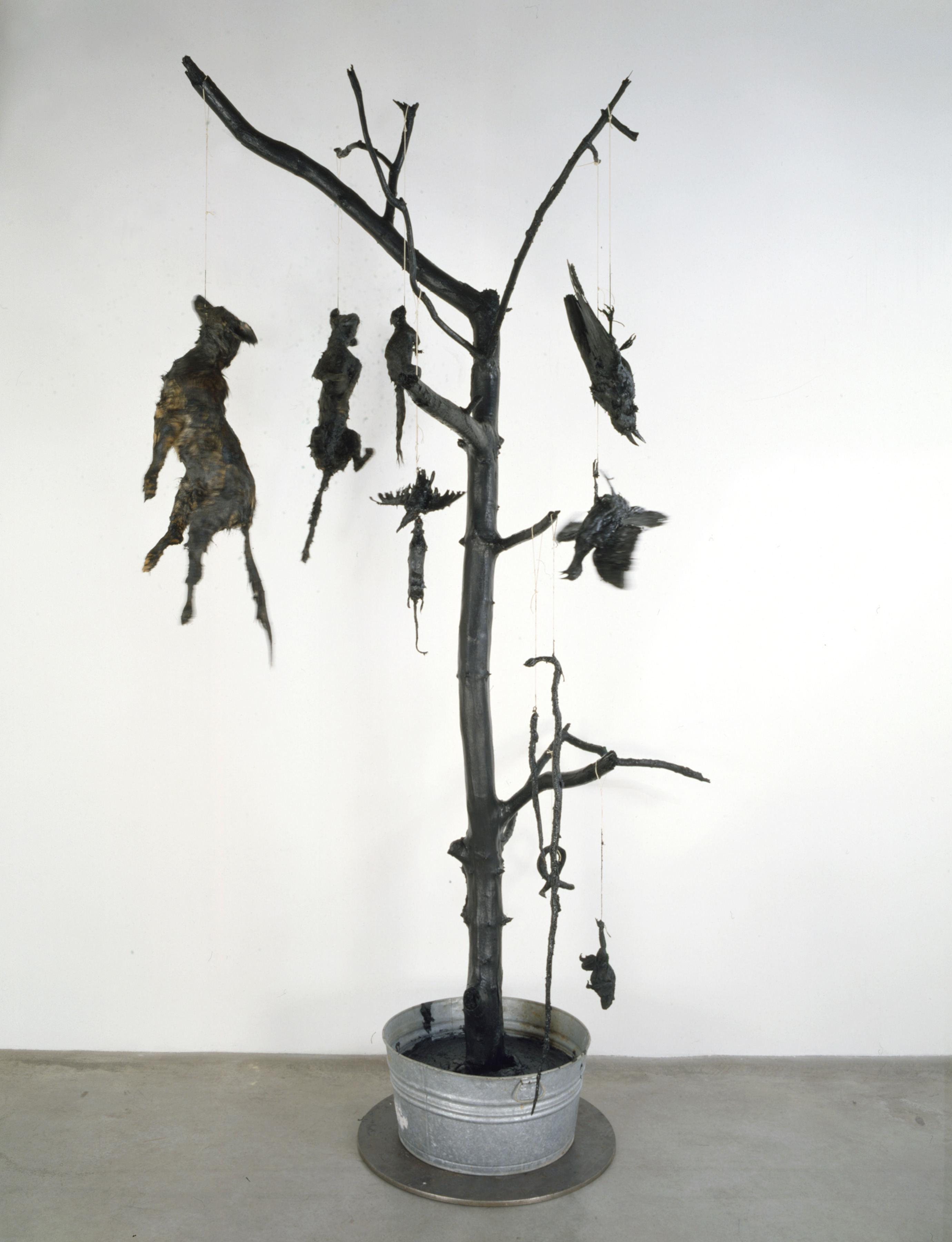 Killers Killed, by Mark Dion, 1994–2007