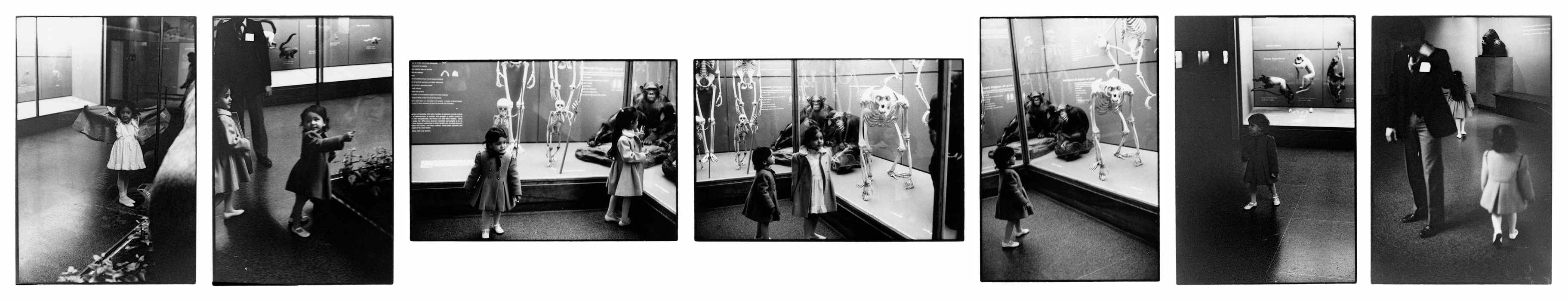 Untitled, by Zoe Leonard, 1984/1991