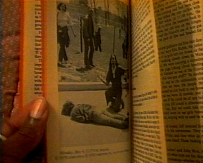 Partially Buried, by Renée Green, 1996