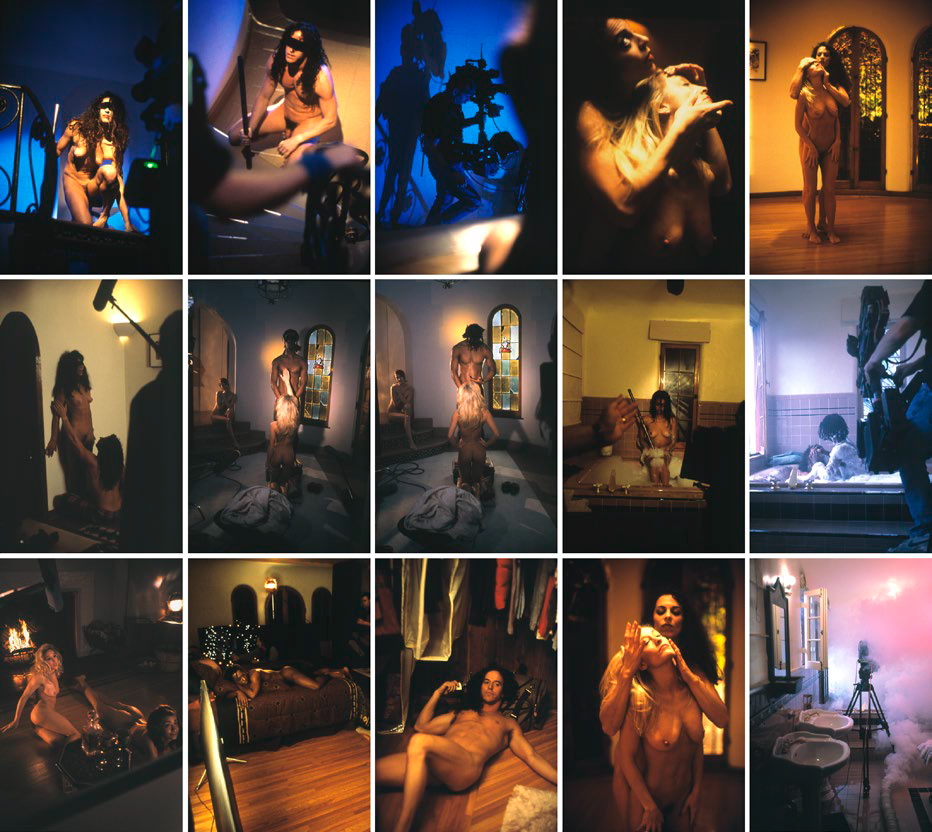 Fresh Acconci, by Mike Kelley and Paul McCarthy, 1995