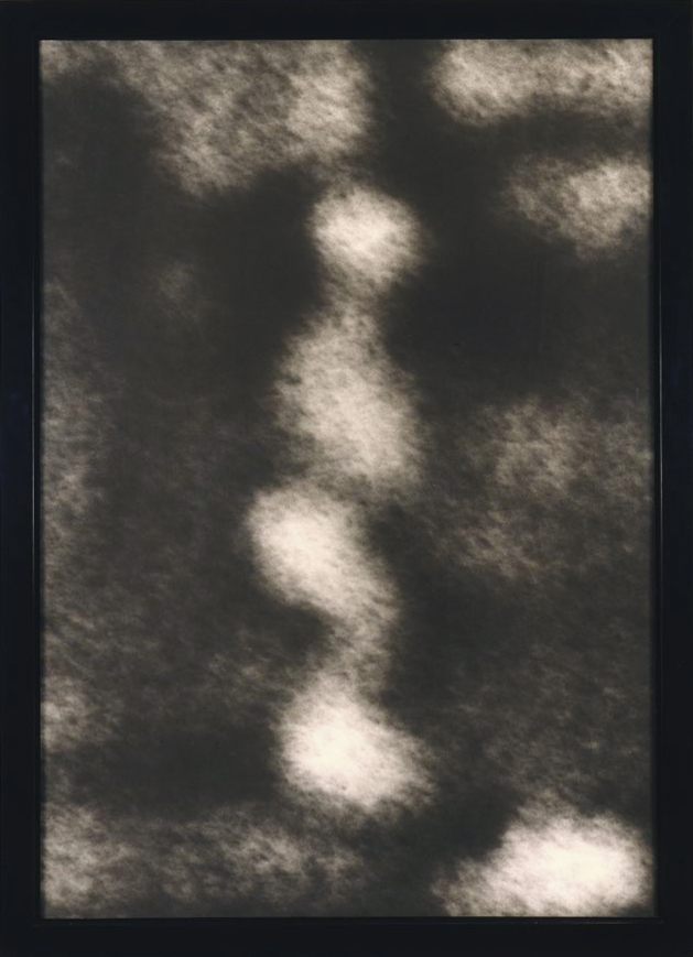 Perpetual Photo, by Allan McCollum, 1982