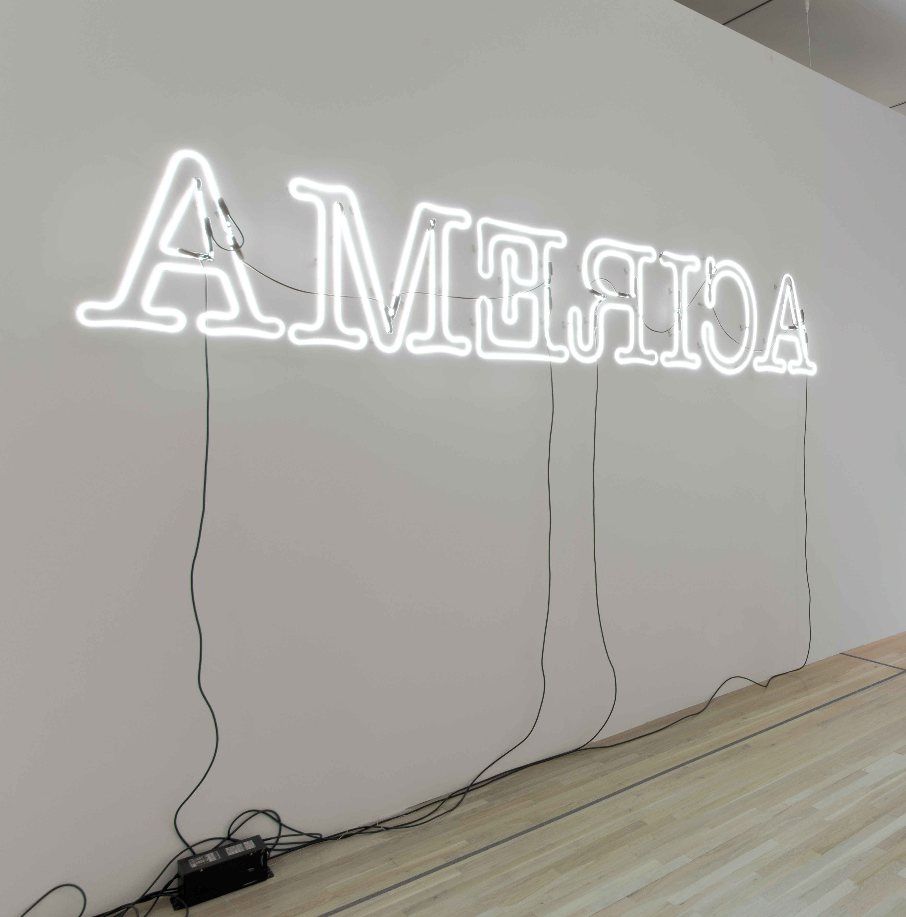 Rückenfigur, by Glenn Ligon, 2009