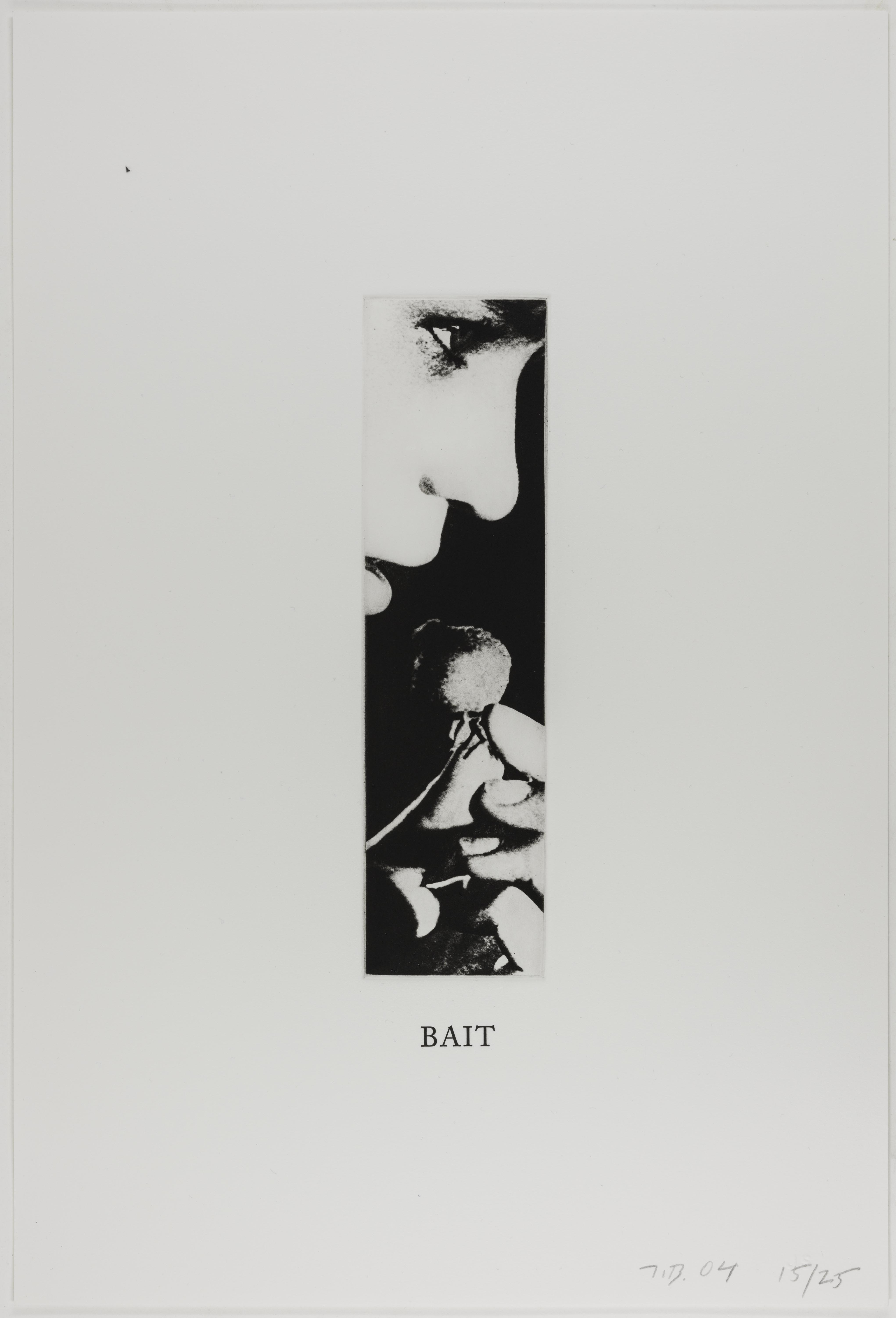 John Baldessari, Bait (Some Narrow Views), 2004