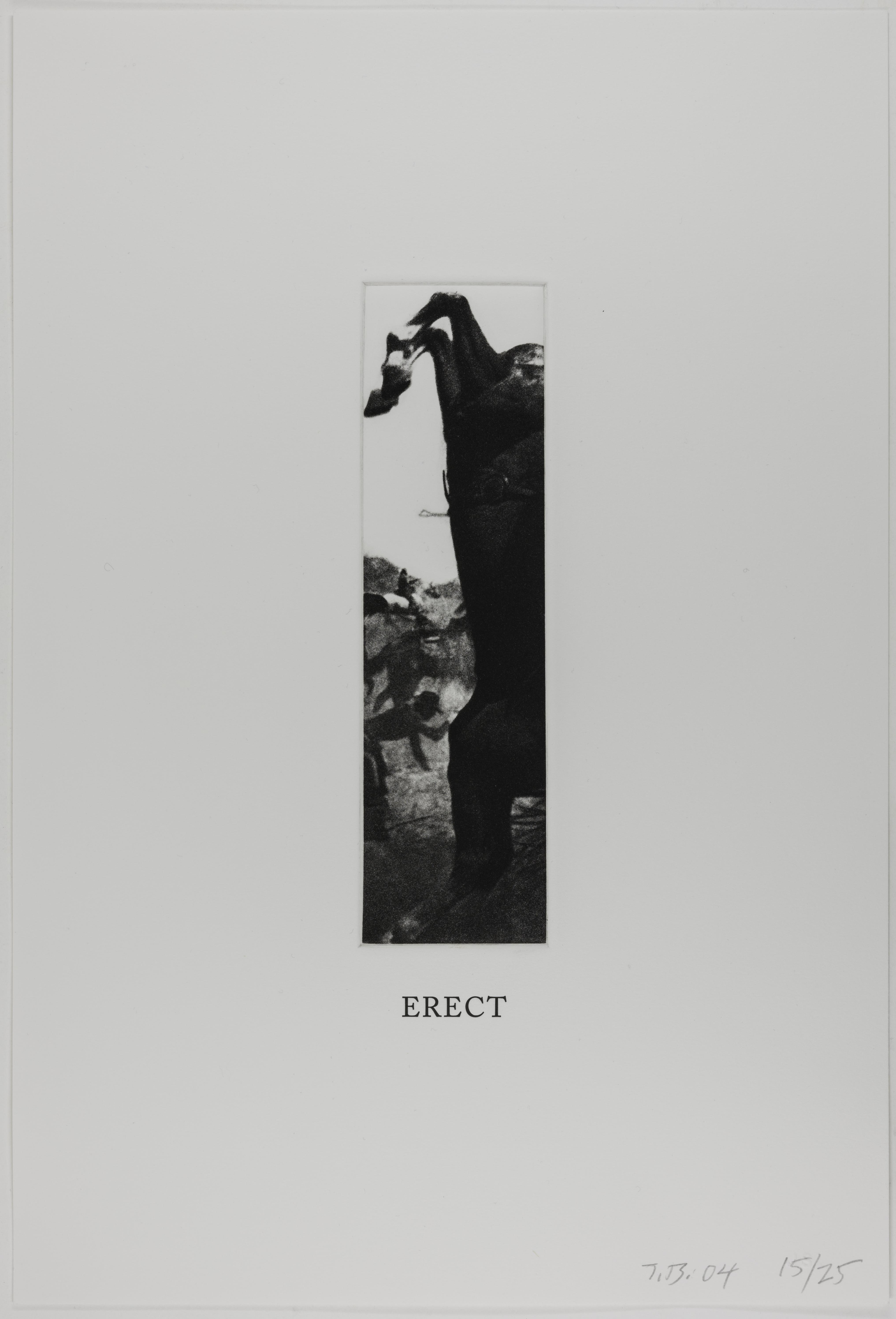 John Baldessari, Erect (Some Narrow Views), 2004