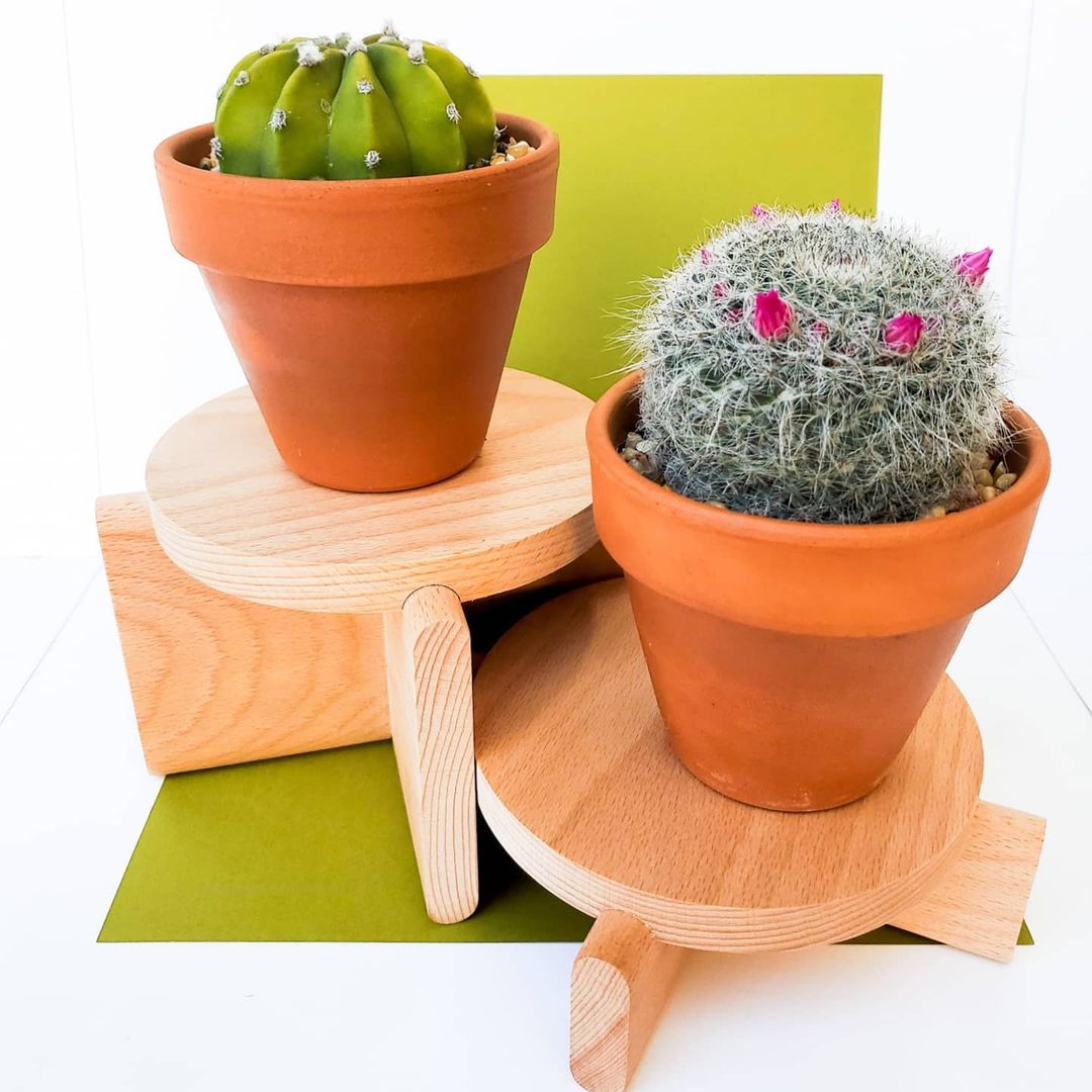 Two wooden plant pedestals with cacti sitting on top