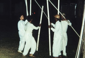 Left-right: Maren Hassinger, Flying, 1982. Photo: Adam Avila.  