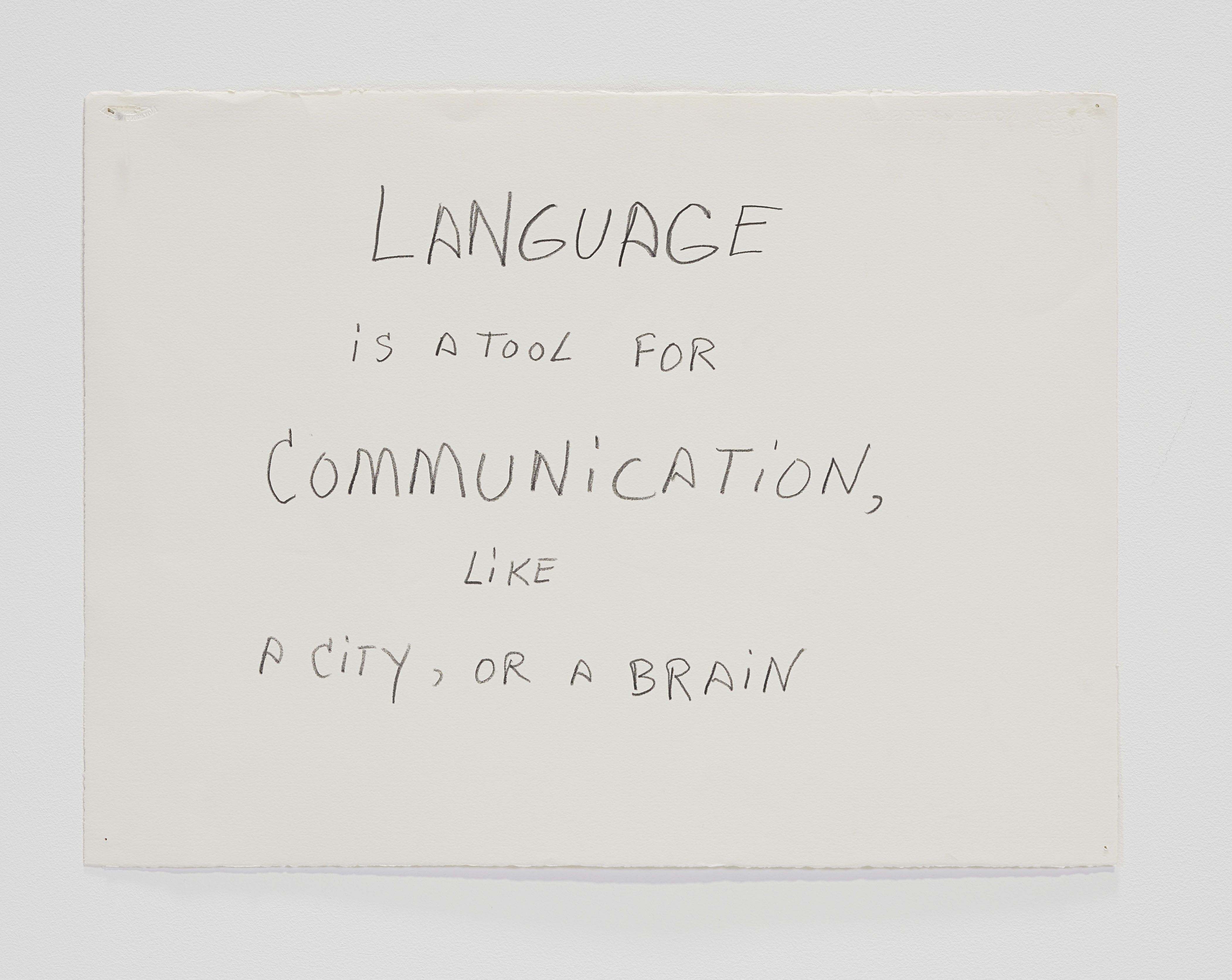 Jimmie Durham, Language is a tool for communication, like a city, or a brain, 1992.