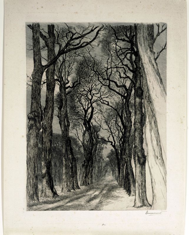 Félix Bracquemond, A Path in the Park of Saint-Cloud in Winter, 1894