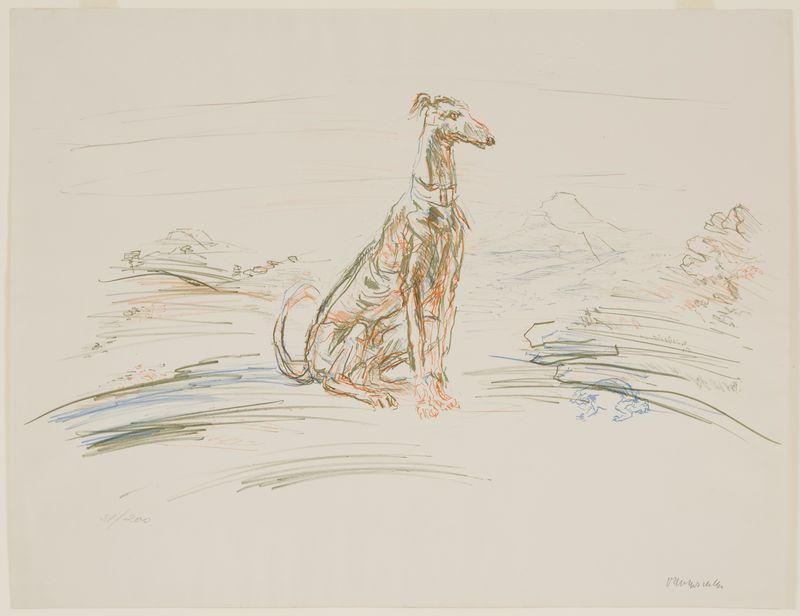 Oskar Kokoschka, Greyhound, 1952