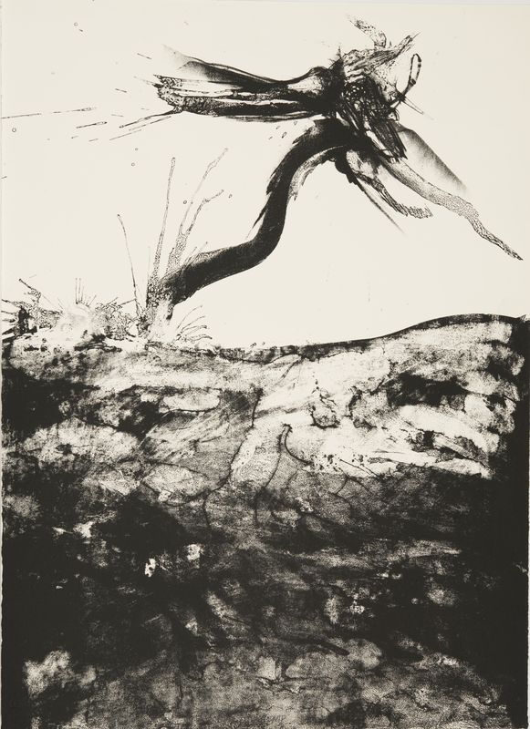 John Dowell, Flight IV, May - June, 1963