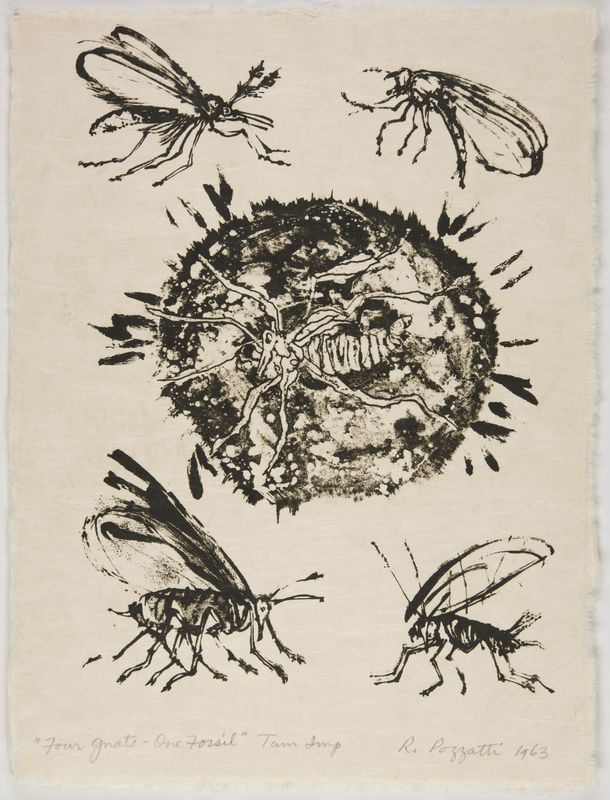 Rudy Pozzatti, Four Gnats, One Fossil (VI), March 21-25, 1963