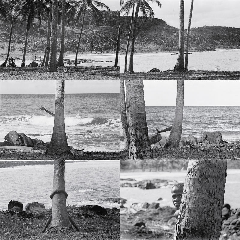 Adansônia II, by Mara Alvares, 1976–78