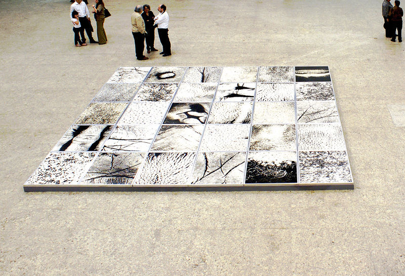 Epidermic Scapes, by Vera Chaves Barcellos, 1977/1982