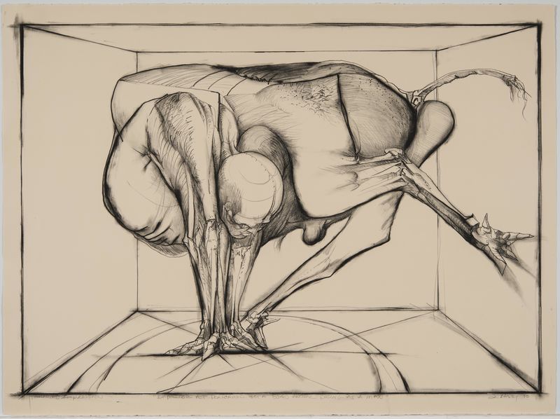 Jan Stussy, Impossible Act Performed by a Boxed Animal Posing as a Man, April 3-6, 1970
