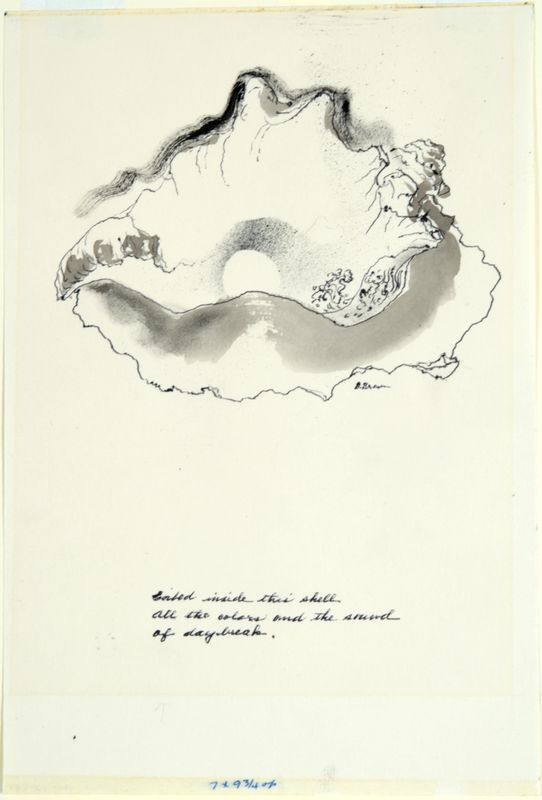 Dorothy Woodhead Brown, Inside this Shell, 1970