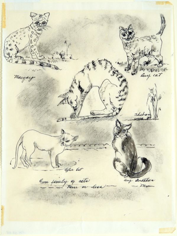 Dorothy Woodhead Brown, Diversity of Cats, 1969