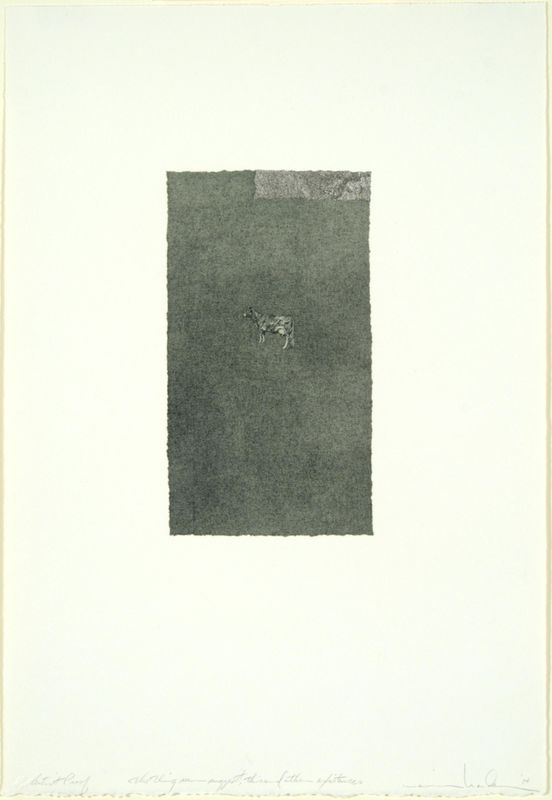 Marvin Harden, The thing seen suggest, this and other existences, 1974