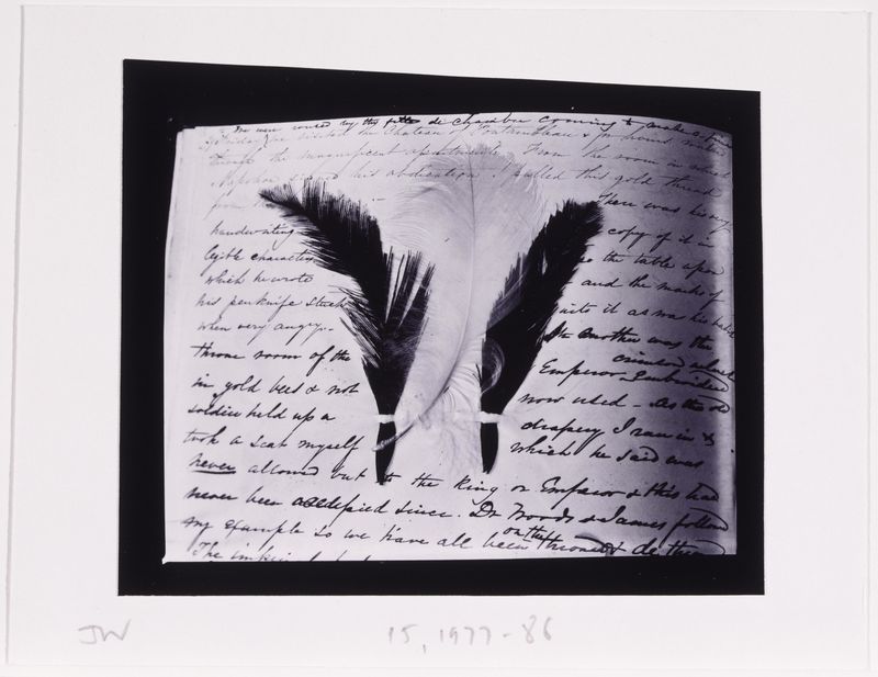 James Welling, Feather, 1977-1986