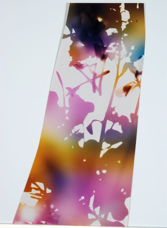 James Welling, Test for 001, Blind Spot Edition, 2006
