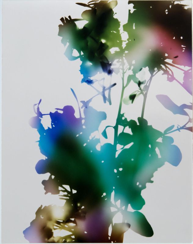 James Welling, Test for 001, Blind Spot Edition, 2006