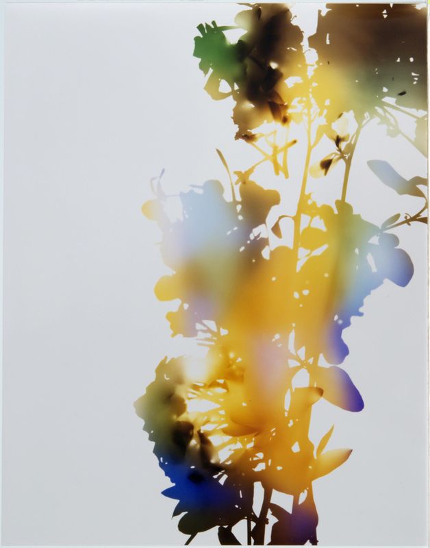 James Welling, Test for 001, Blind Spot Edition, 2006