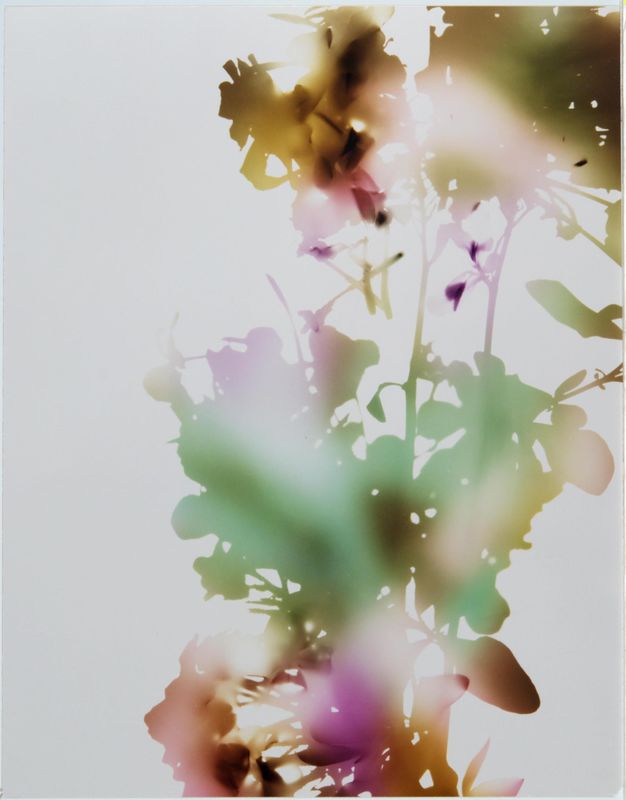 James Welling, Test for 001, Blind Spot Edition, 2006