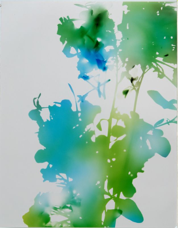 James Welling, Test for 001, Blind Spot Edition, 2006