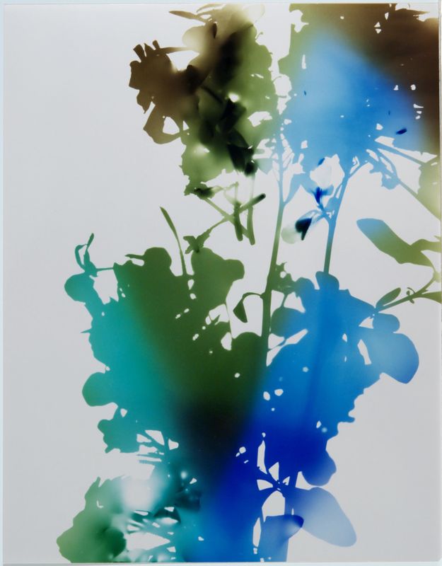 James Welling, Test for 001, Blind Spot Edition, 2006