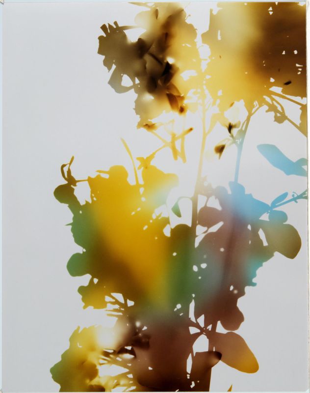 James Welling, Test for 001, Blind Spot Edition, 2006