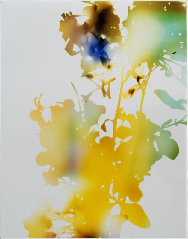 James Welling, Test for 001, Blind Spot Edition, 2006