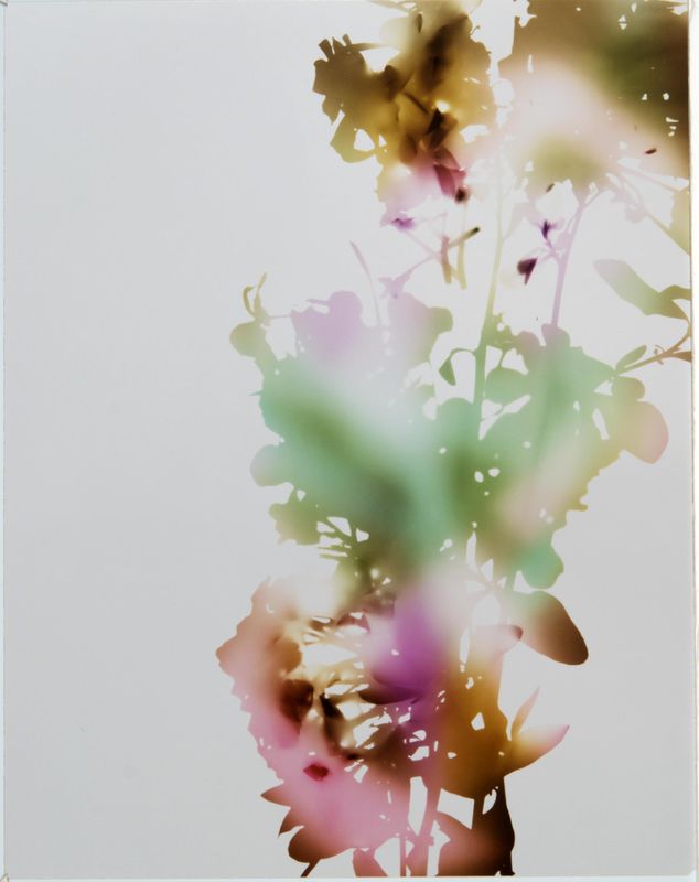 James Welling, Test for 001, Blind Spot Edition, 2006