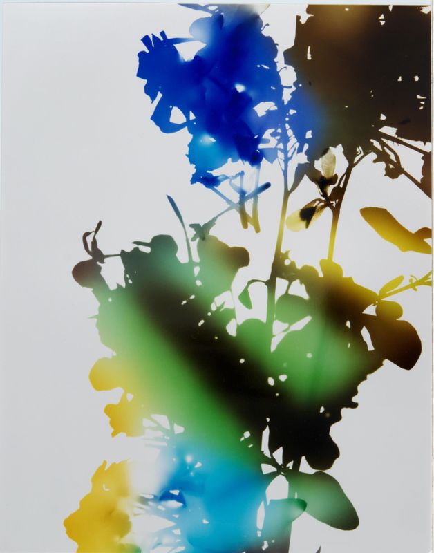 James Welling, Test for 001, Blind Spot Edition, 2006