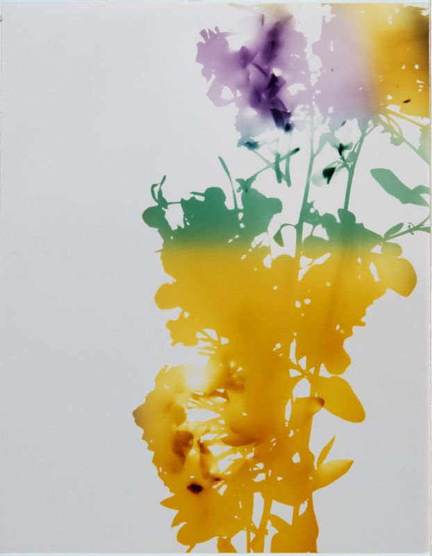 James Welling, Test for 001, Blind Spot Edition, 2006