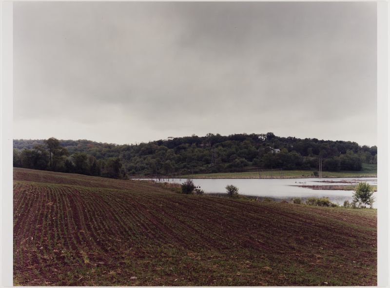 James Welling, The Fields, Brunswick, NY, 2003