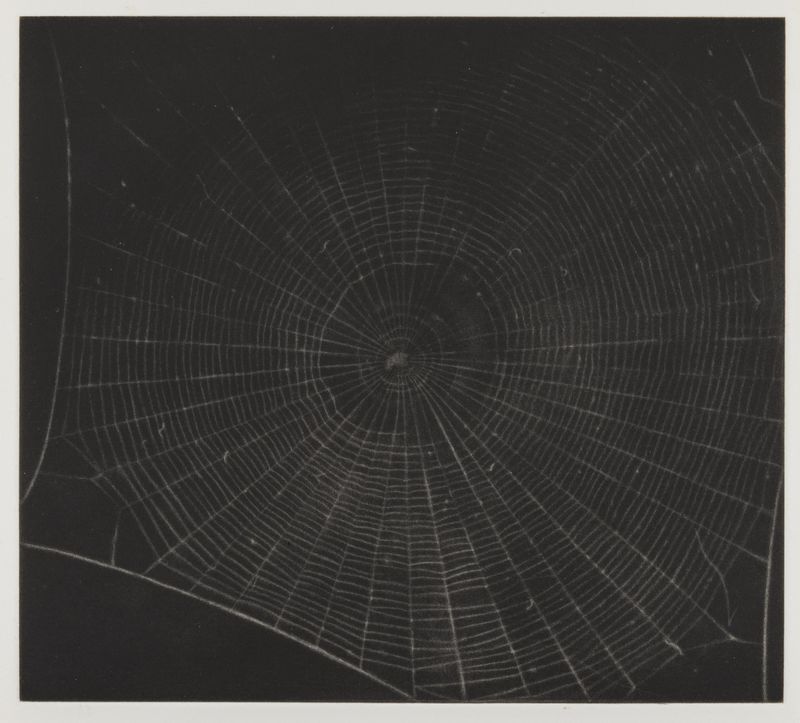 Vija Celmins, State proof for Web #2, [n.d.]