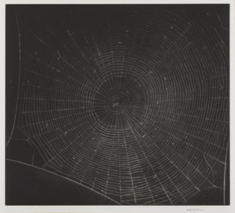 Vija Celmins, State proof for Web #2, [n.d.]