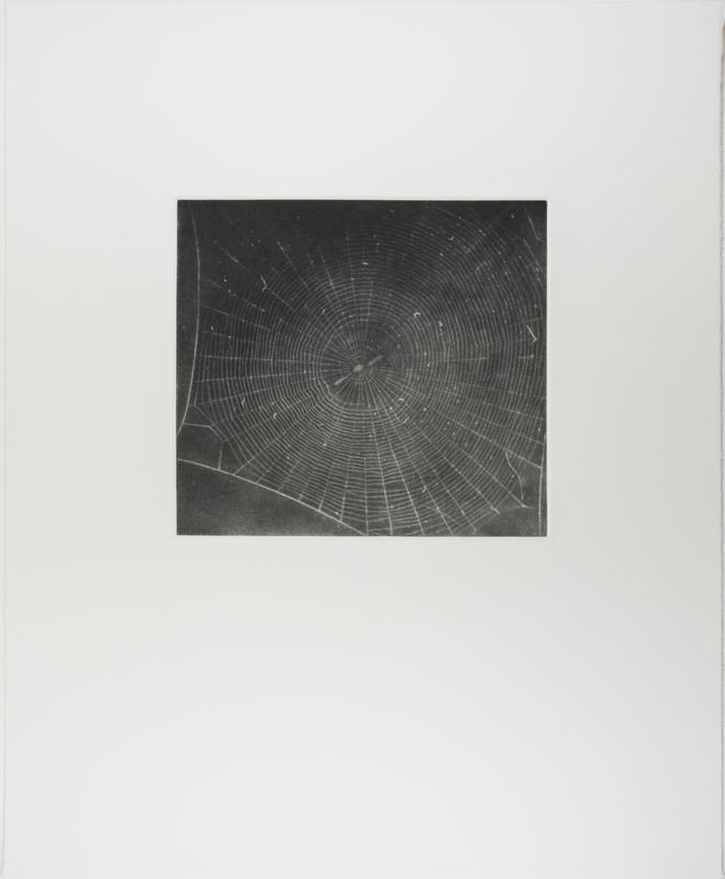 Vija Celmins, State proof for Web #2, [n.d.]