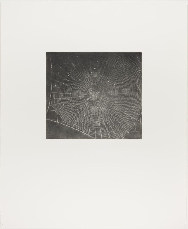 Vija Celmins, State proof for Web #2, [n.d.]