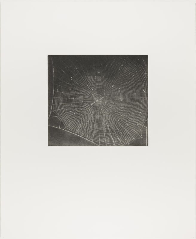 Vija Celmins, State proof for Web #2, [n.d.]