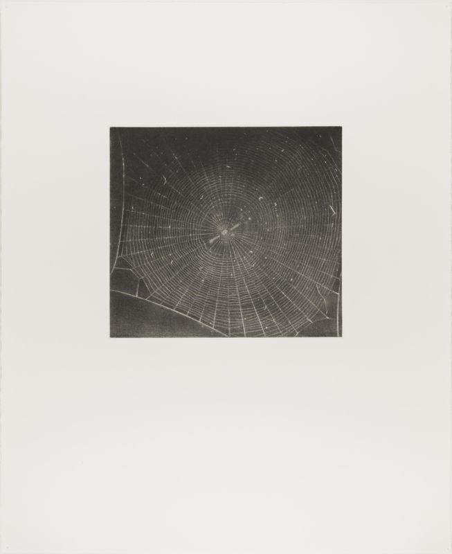 Vija Celmins, State proof for Web #2, [n.d.]