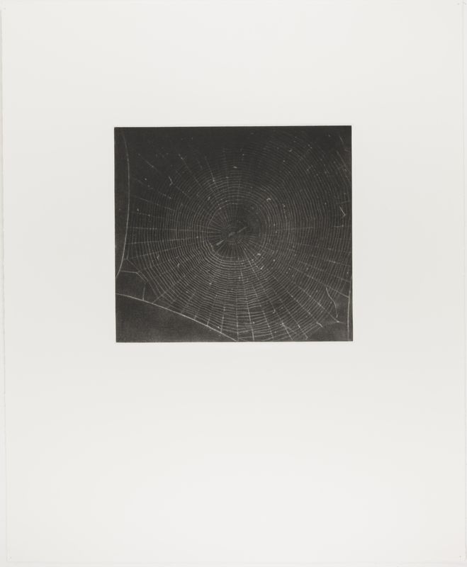 Vija Celmins, State proof for Web #2, [n.d.]