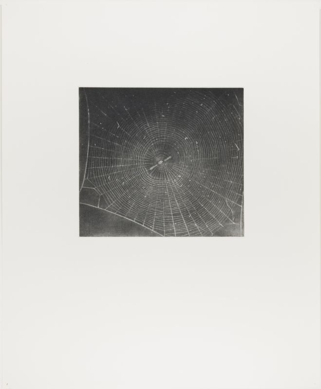 Vija Celmins, State proof for Web #2, [n.d.]