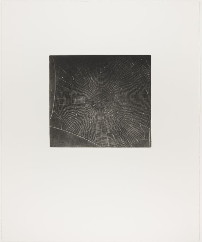 Vija Celmins, State proof for Web #2, [n.d.]